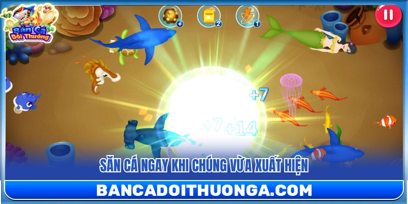 Kỹ thuật tiêu diệt cá vừa bơi ra khỏi mép bàn