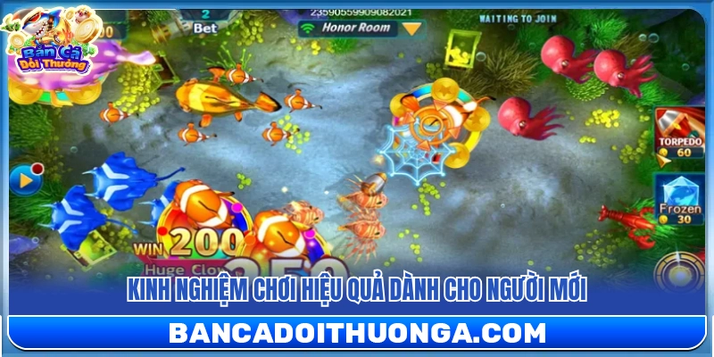 Hướng dẫn chơi hiệu quả cho tân thủ