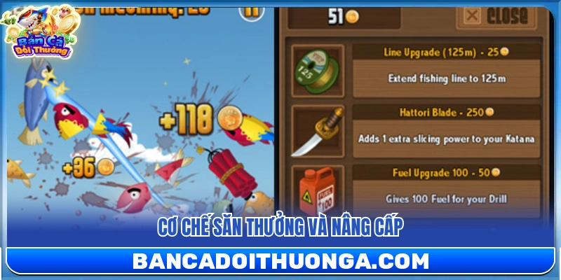 Hệ thống săn thưởng và tính năng nâng cấp